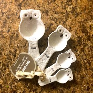 Owl teaspoon set from Pier 1